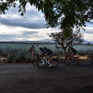 Tequila bike tour