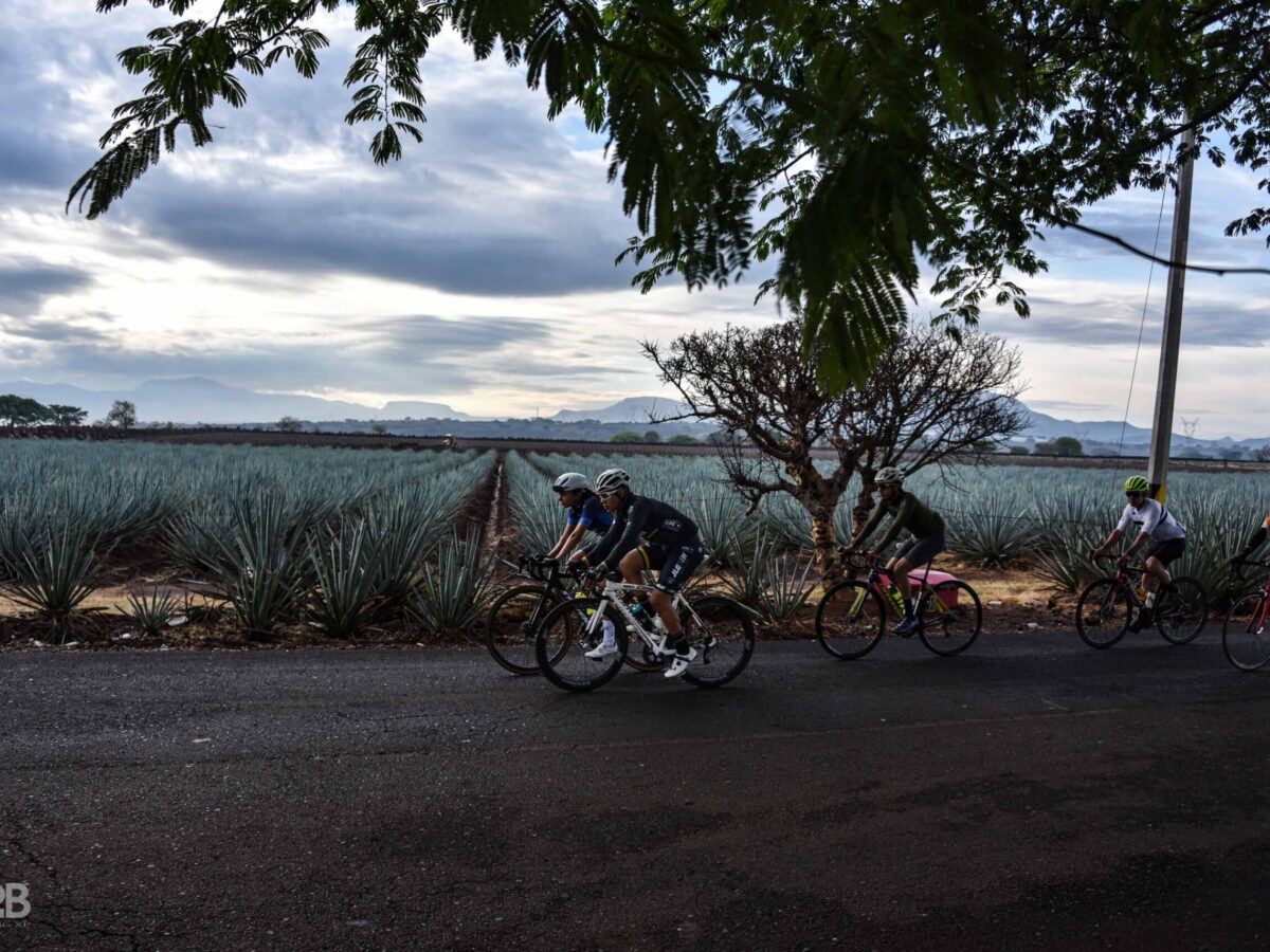Tequila bike tour