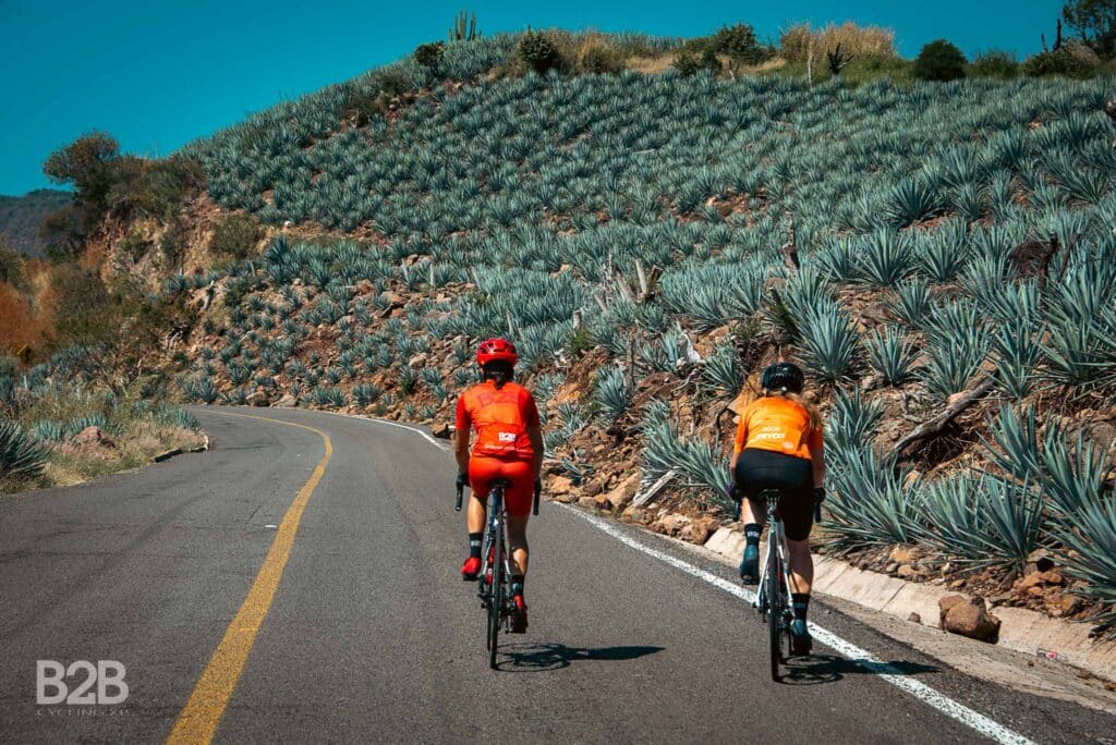 Multi-day Tequila Tour | 3 Rides