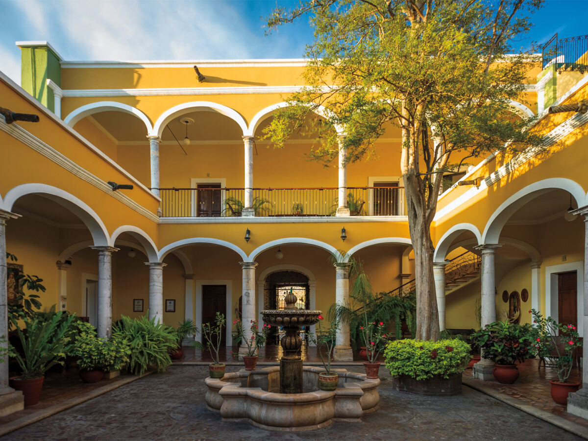 Tequila Bike Tour through agave fields in Jalisco